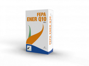 FEPA-ENER-Q10